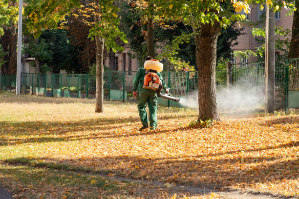 Best Termite Control Services  in Pelham, AL